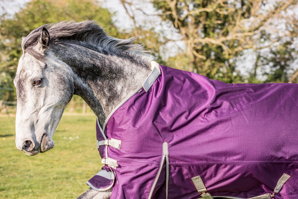 TURNOUT RUG REVIEW - Martha Lily Photography