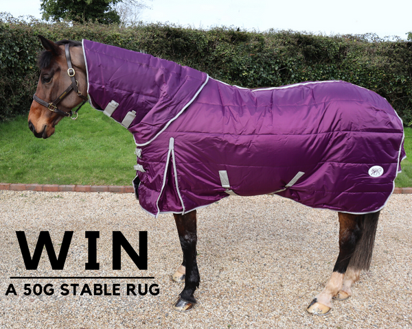 🎉 WIN A 50G SWISH STABLE RUG 🎉⁠