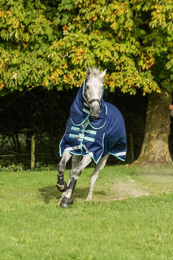 Advice For Choosing The Best Winter Turnout Rug