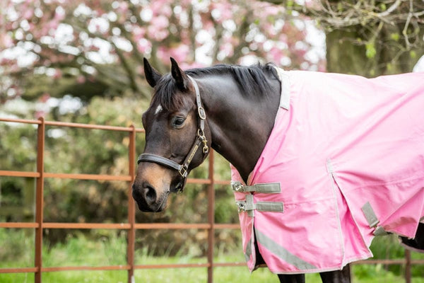 0g Detachable Neck Turnout Rug - Baby Pink - Swish Equestrian
