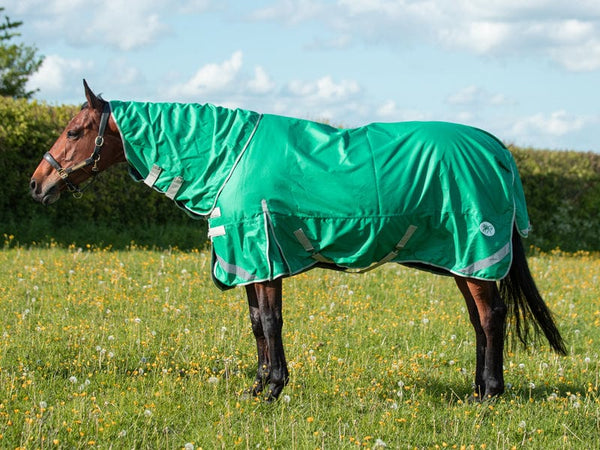 100g Detachable Neck Turnout Rug - Green - Swish Equestrian