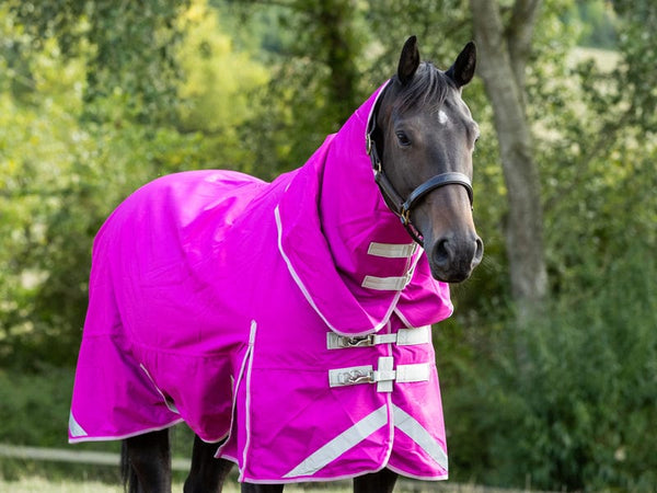 200G Detachable Neck Turnout Rug - Mulberry - Swish Equestrian