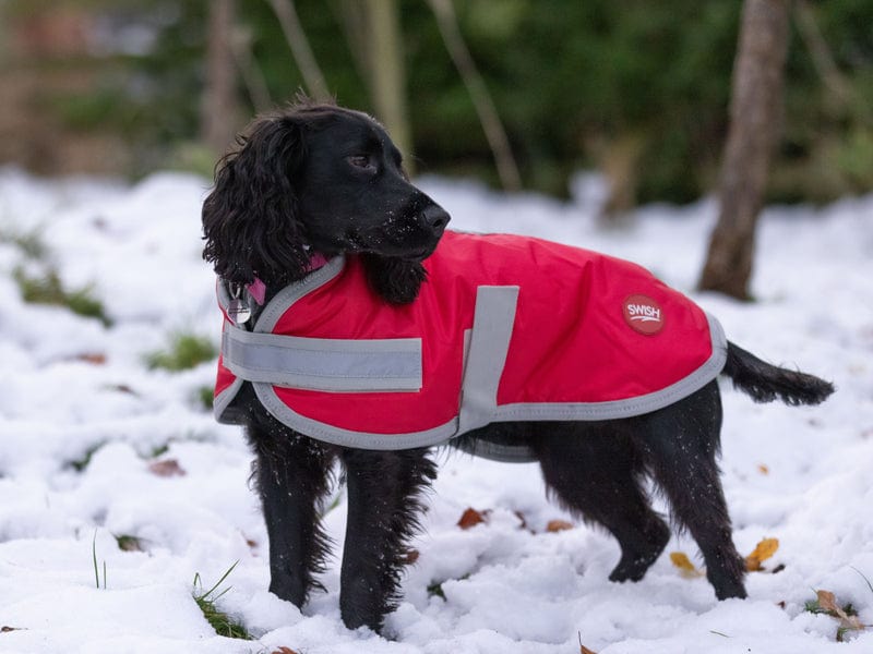 Waterproof Reversible Dog Coat – Padded Jacket For Small To Large Breeds Like Rottweilers & More