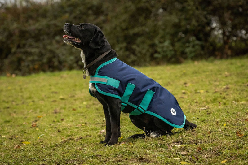 Waterproof Dog Coat - Navy - Swish Equestrian