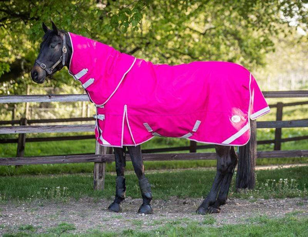 200g Detachable Neck Turnout Rug - Pink - Swish Equestrian