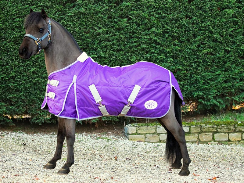 Mini 100g Stable Rug - Purple - Swish Equestrian
