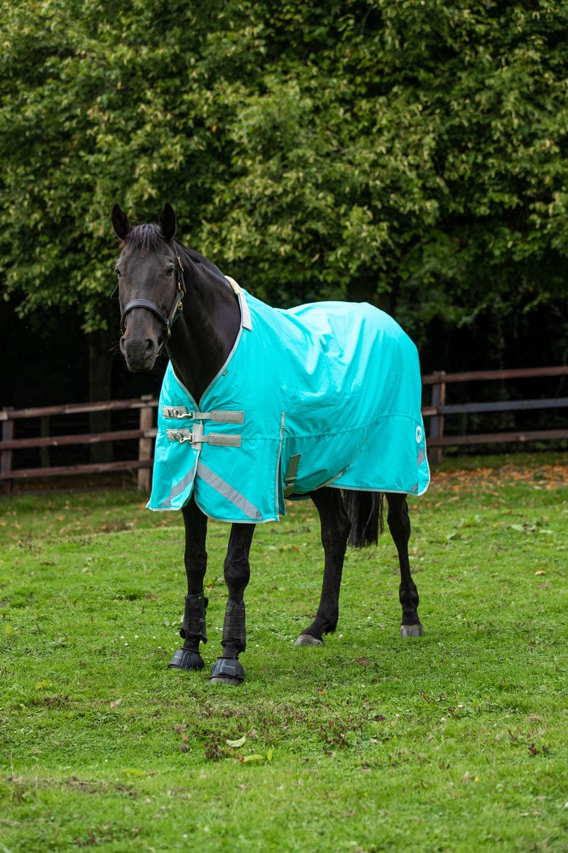 100g Detachable Neck Turnout Rug - Peppermint - Swish Equestrian