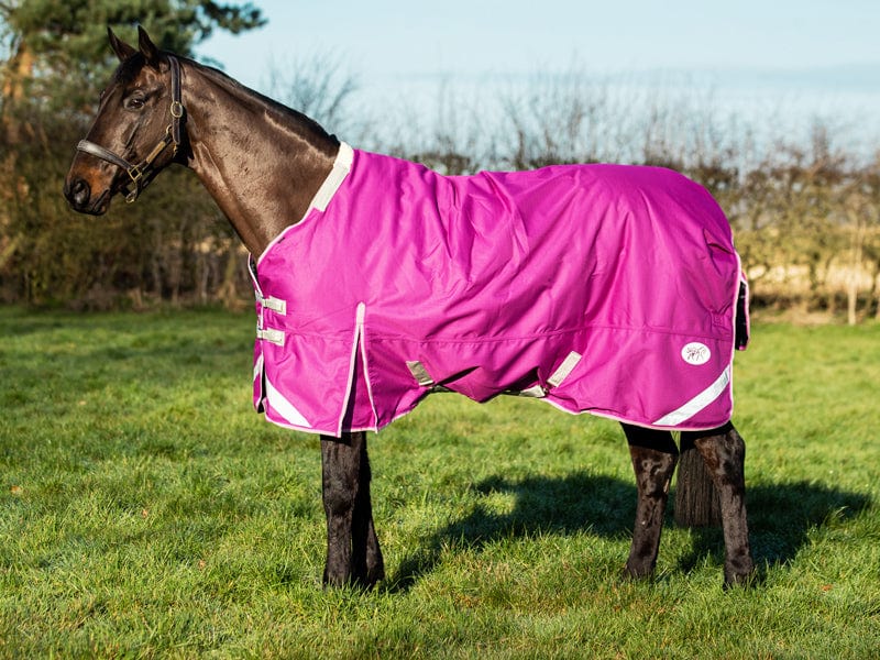 50g Detachable Neck Turnout Rug - Mulberry - Swish Equestrian