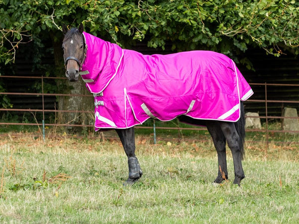 100g Detachable Neck Turnout Rug - Mulberry - Swish Equestrian