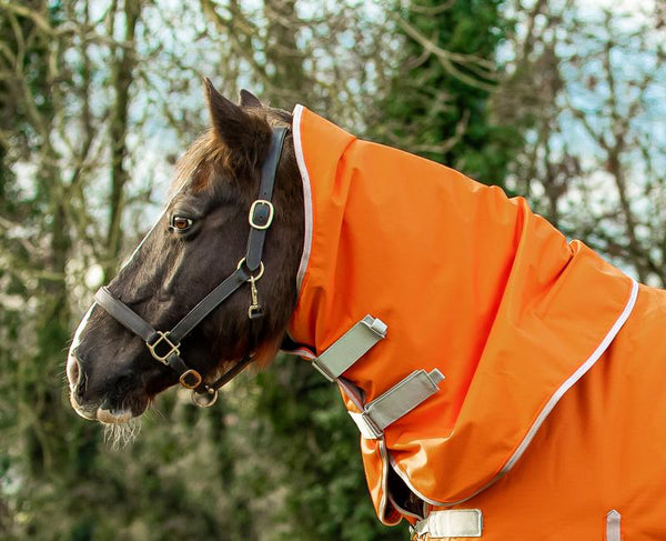 100g Orange Turnout Rug Neck Cover - Swish Equestrian