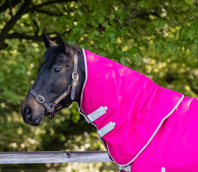 100g Pink Turnout Rug Neck Cover Swish Equestrian