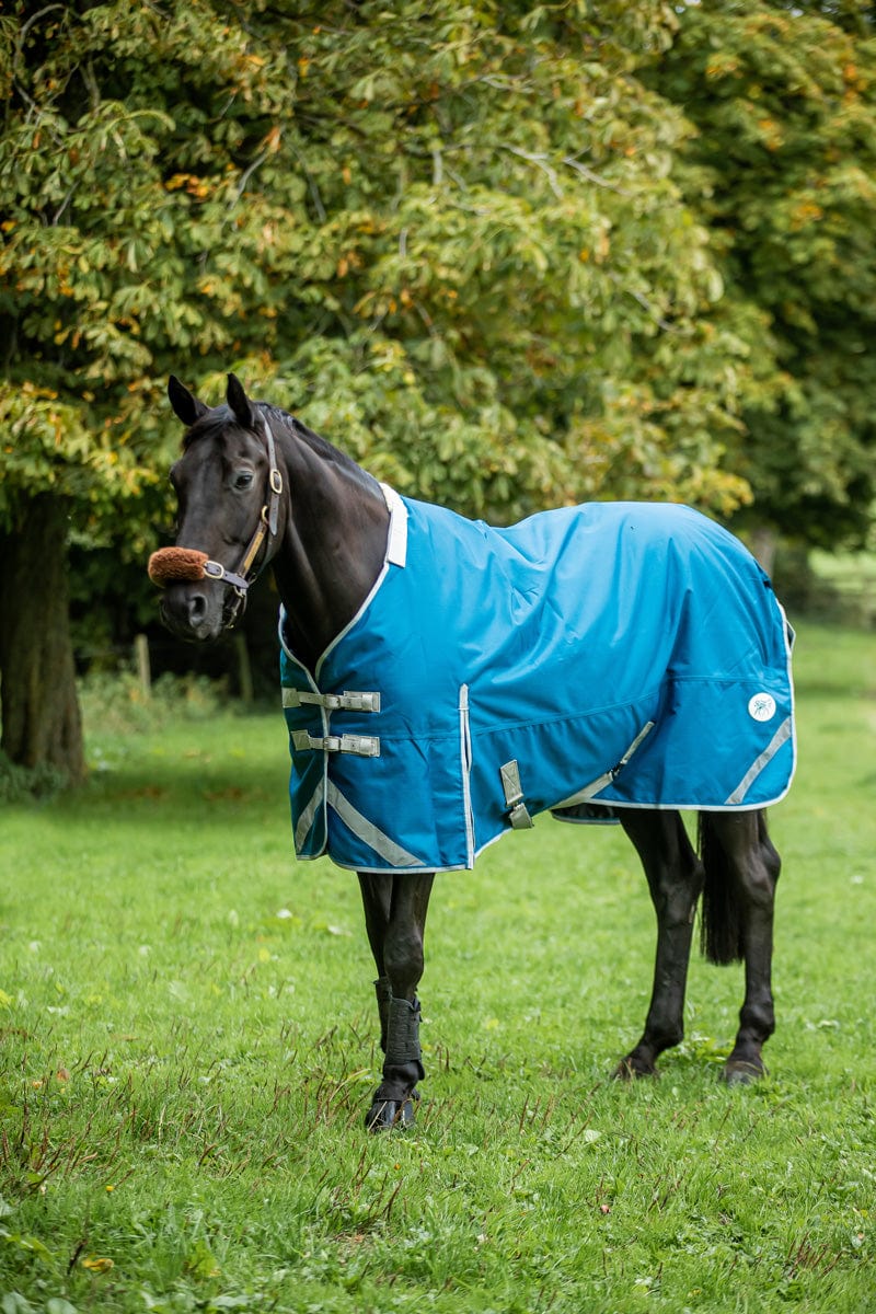 300g Turnout Rug With Detachable Neck - Turqouise - Swish Equestrian