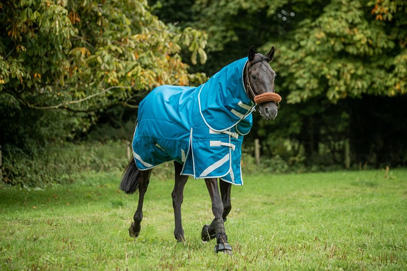100g Detachable Neck Turnout Rug - Turqouise - Swish Equestrian