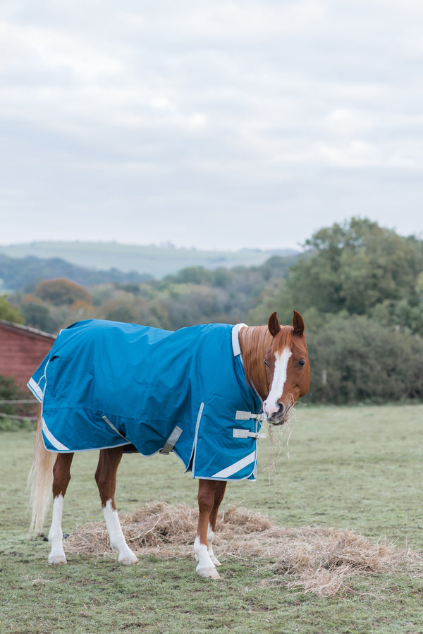 Blog Feature - Horse Rugs To Fit Arabian Horses