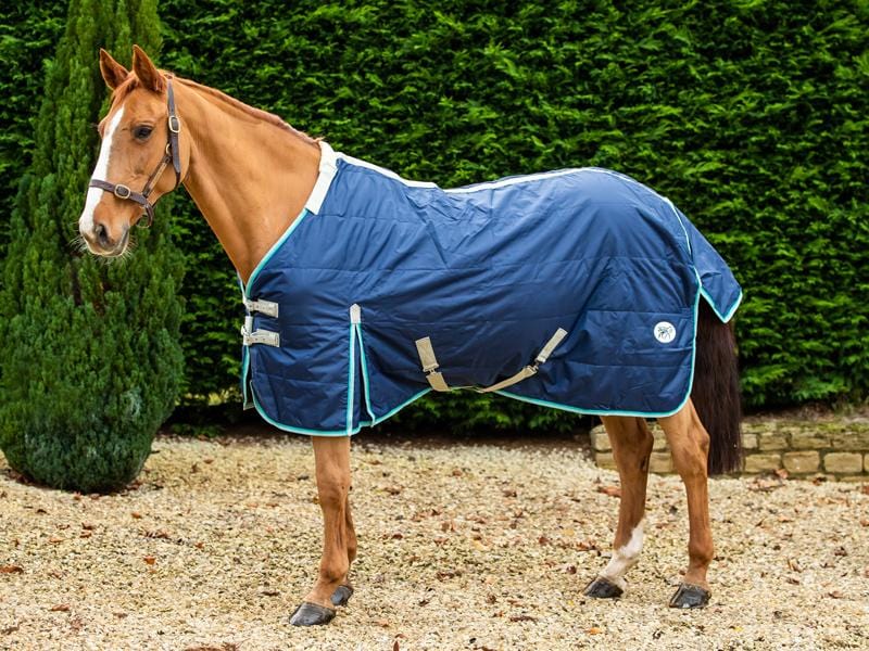 450g Stable Rug With Detachable Neck - Navy