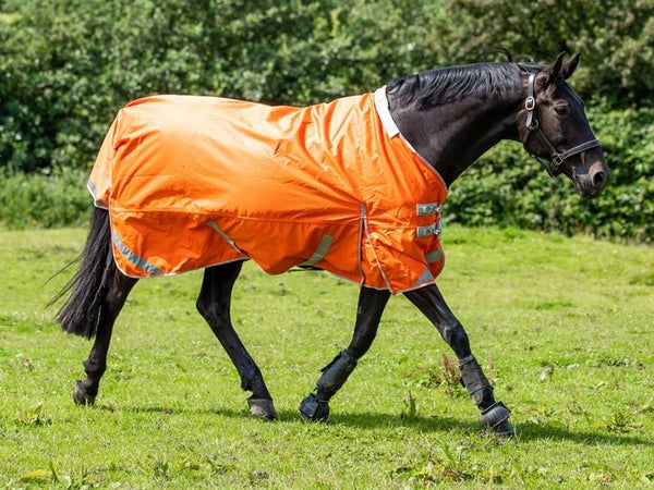 100g Detachable Neck Turnout Rug - Orange