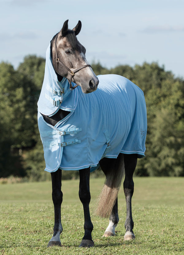 Fleece Rug With Neck Cover - Baby Blue