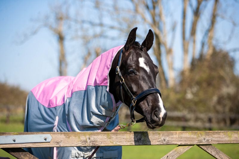 Fly Turnout Combination Rug (MESH) - Baby Pink - Swish Equestrian