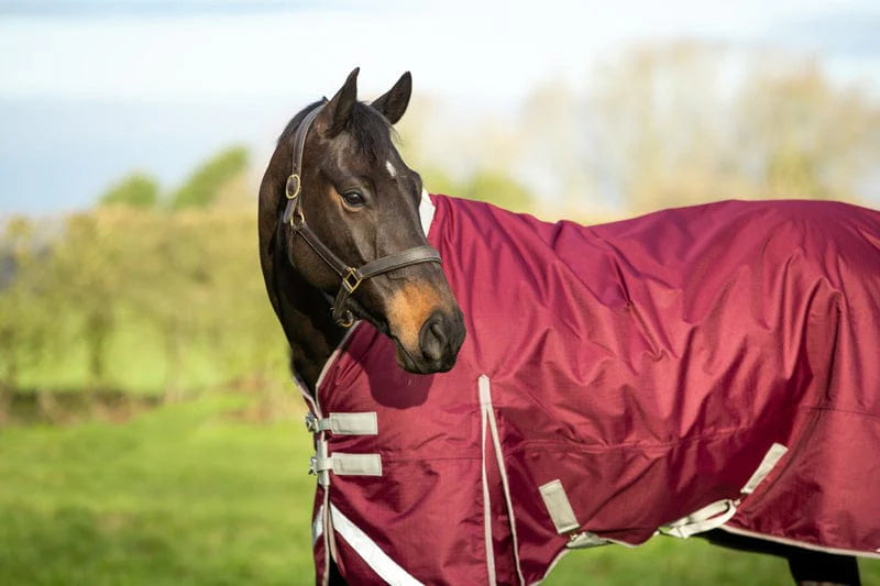 450g Ultimate Heavyweight Turnout Rug With Detachable Neck - Burgundy