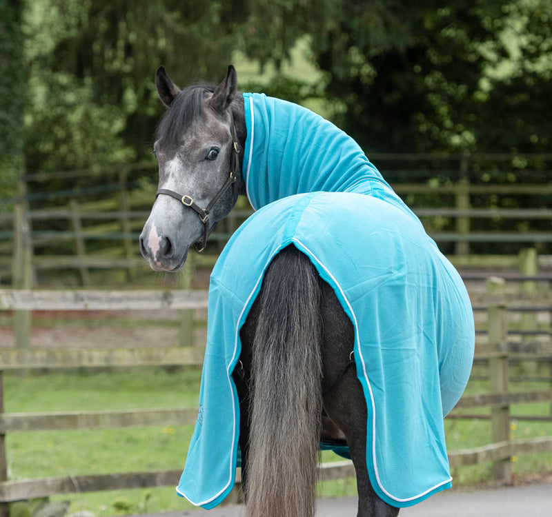 Fleece Rug With Neck Cover - Turquoise