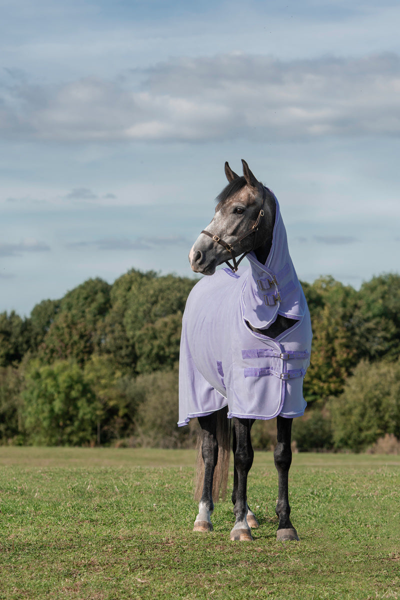 Fleece Rug With Neck Cover - Violet