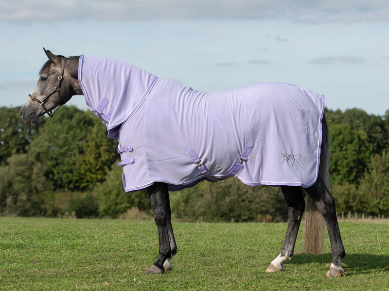 Fleece Rug With Neck Cover - Violet