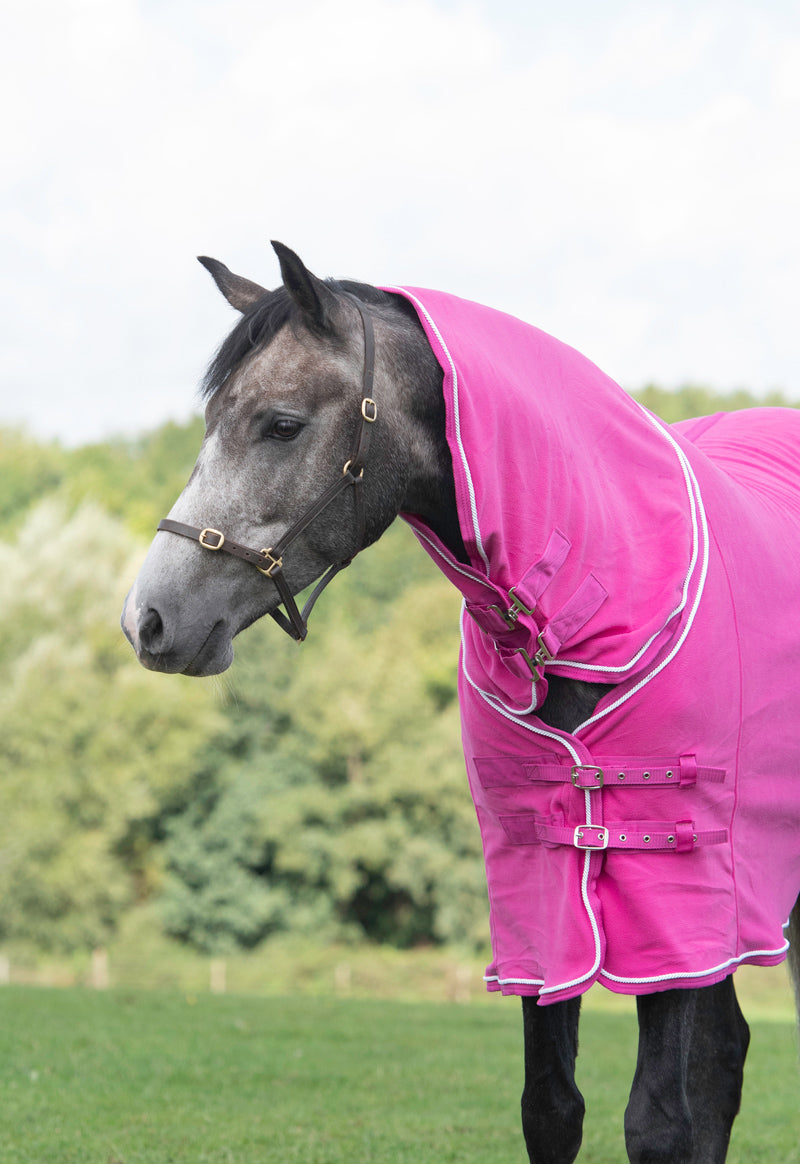 Fleece Rug With Neck Cover - Berry