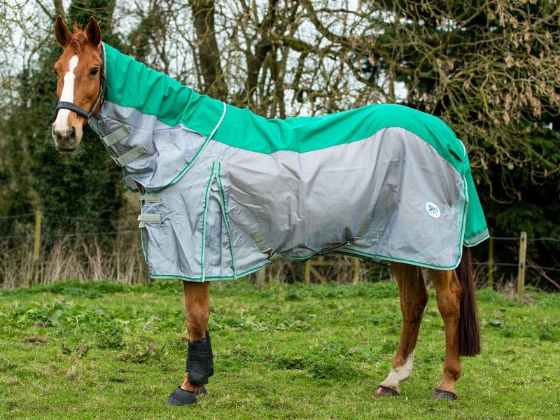 Fly Turnout Combination Rug - Green