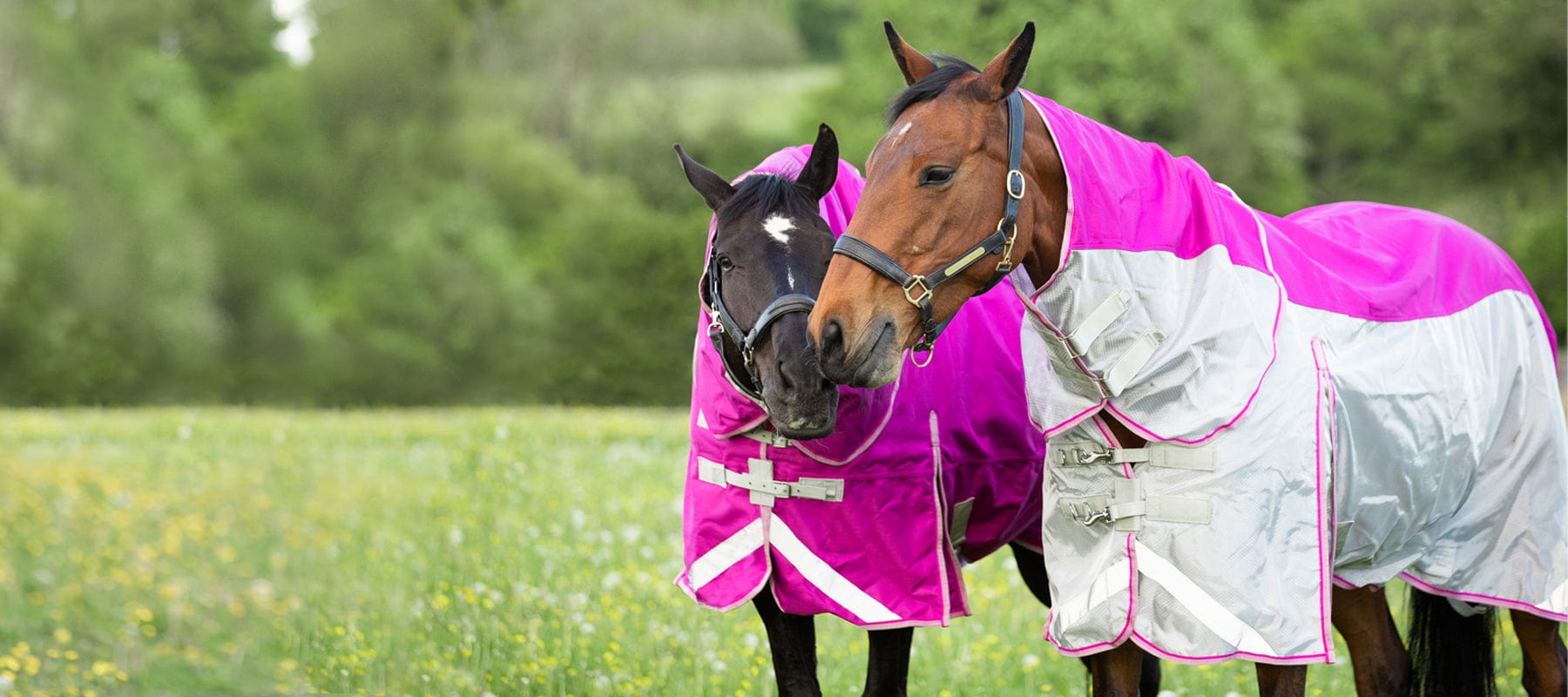 Swish Equestrian™ - Horse Rugs & Equestrian Accessories