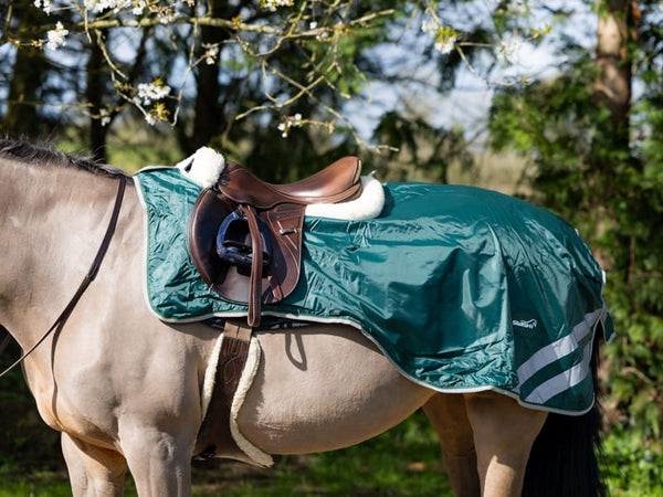 Shop Horse Exercise Rugs - Waterproof | Swish Equestrian™