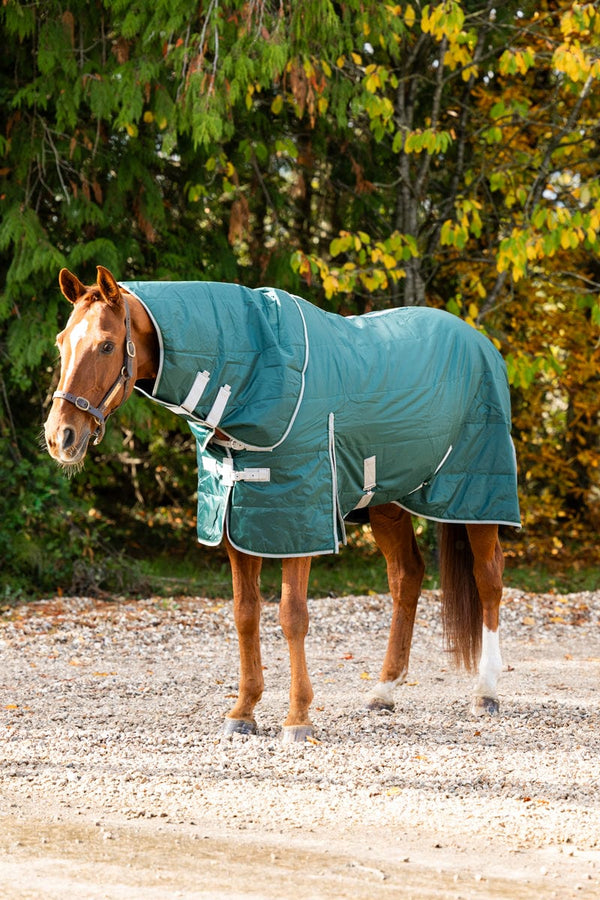 100g Stable Rug With Detachable Neck - Hunter Green - Swish Equestrian