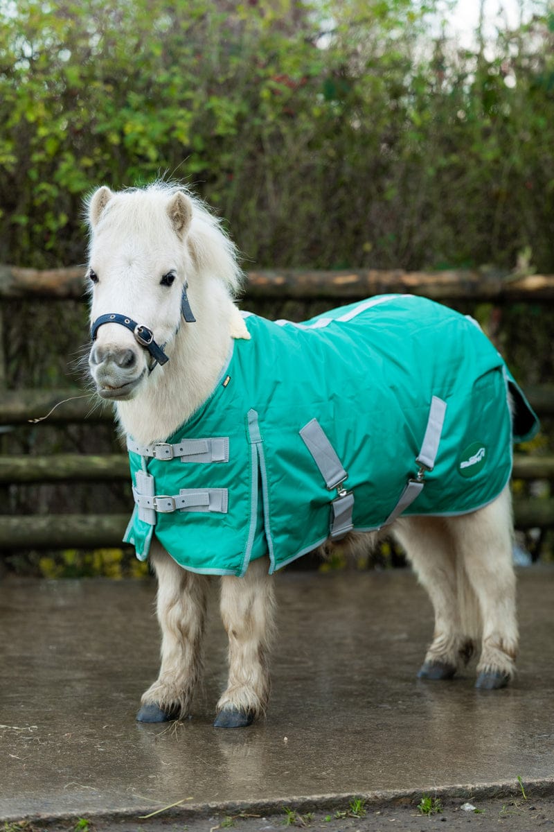 Mini 50g Stable Rug - Hunter Green