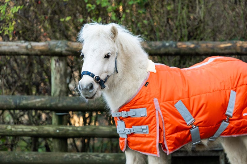 Mini 200g Stable Rug - Orange