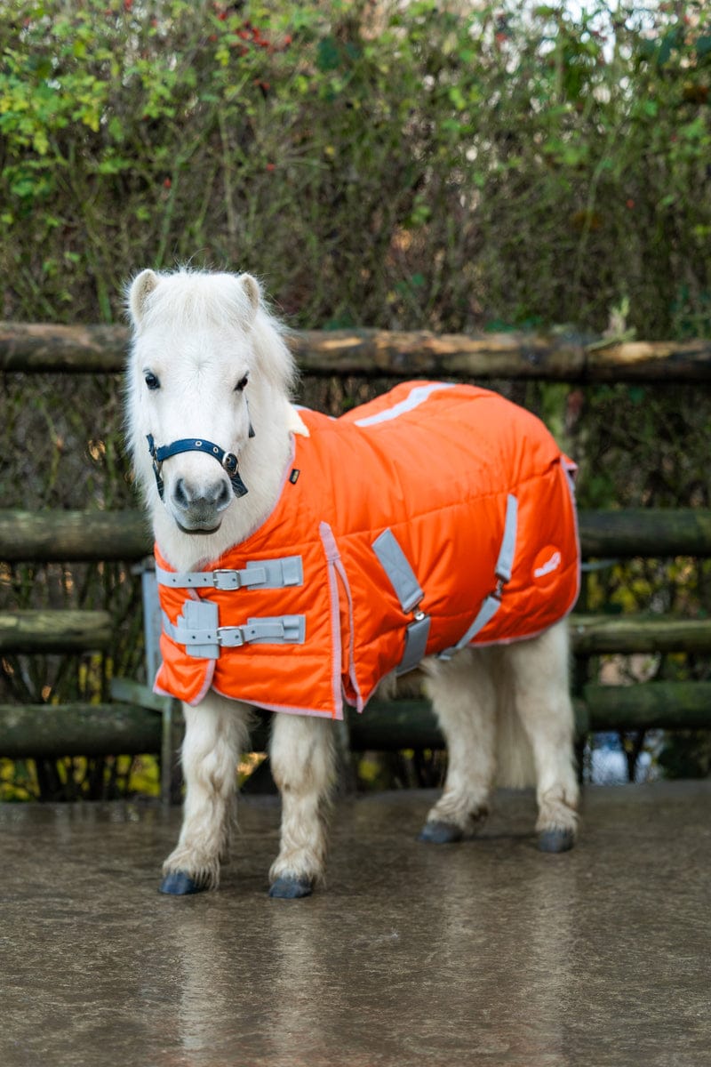 Mini 200g Stable Rug - Orange