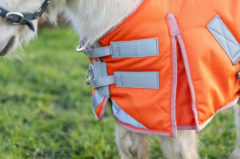MINI 300g Turnout Rug - Orange