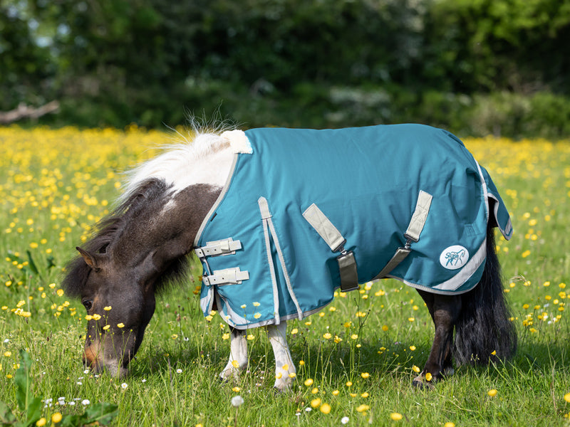 MINI 100g Turnout Rug - Turquoise