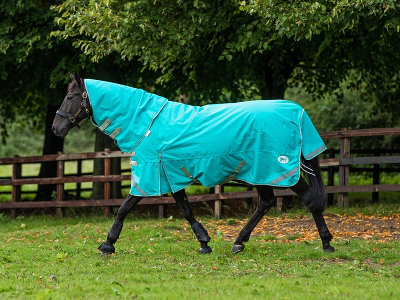 100g Detachable Neck Turnout Rug - Peppermint