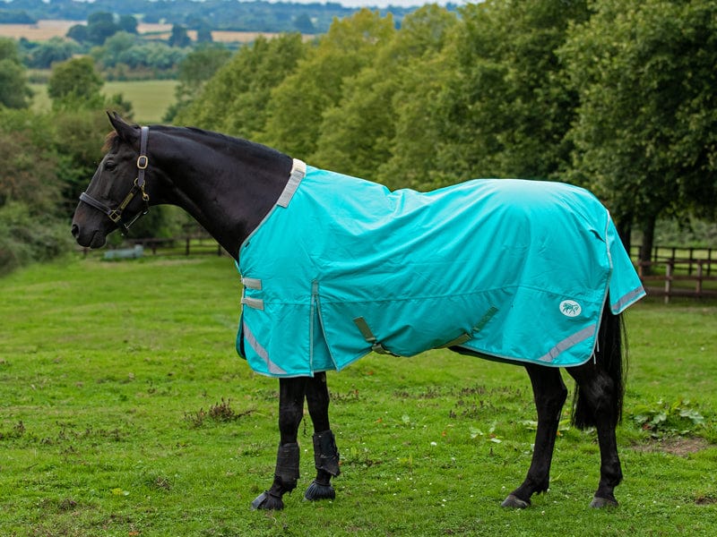 100g Detachable Neck Turnout Rug - Peppermint