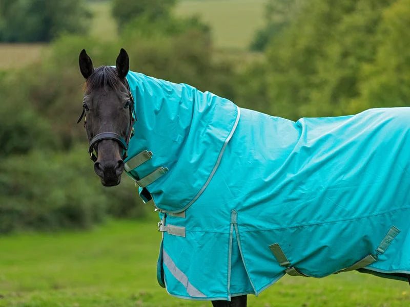 100g Detachable Neck Turnout Rug - Peppermint