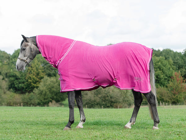 Fleece Rug With Neck Cover - Berry