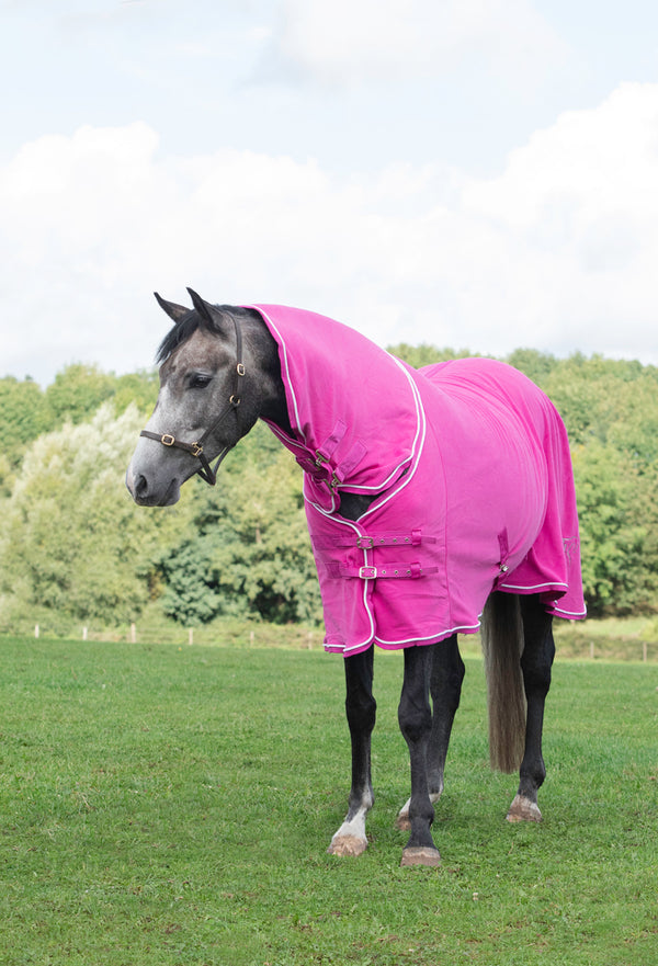 Fleece Rug With Neck Cover - Berry