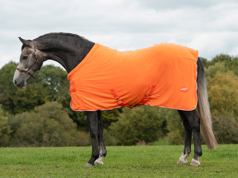 Fleece Horse Rug - Orange