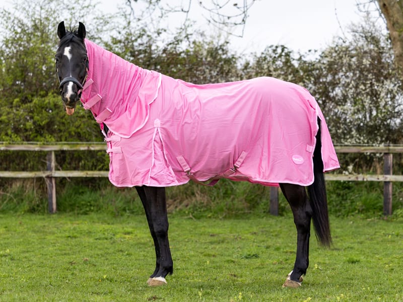 Mesh Fly Rug - Baby Pink | Swish Equestrian™