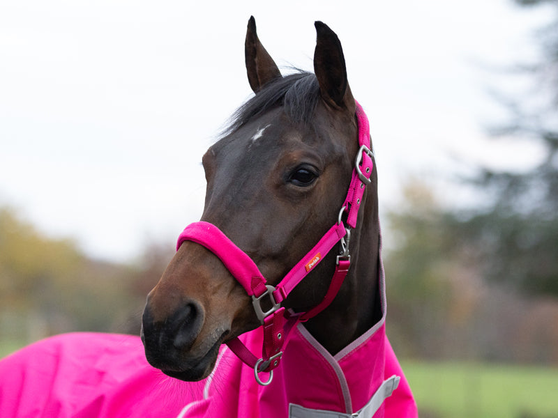 Fleece Padded Head Collar - Pink