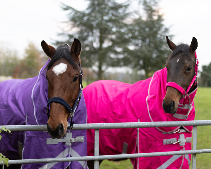 Fleece Padded Head Collar - Pink