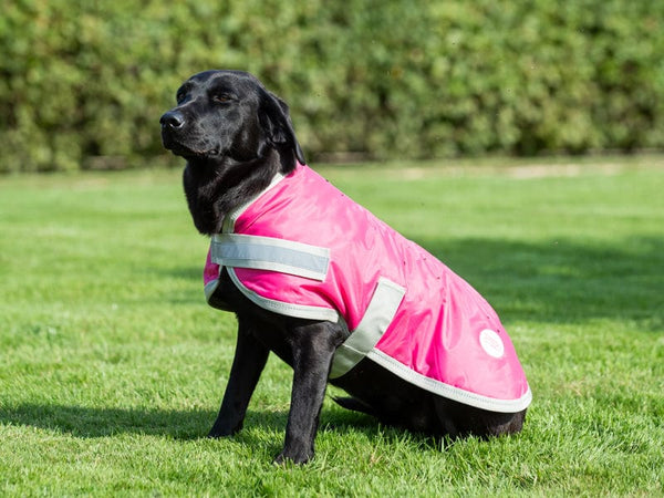 Waterproof Dog Coat - Raspberry - Swish Equestrian