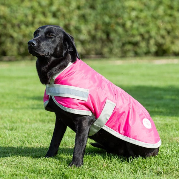 Pink dog clearance coat