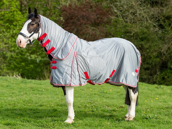 Fly Rugs | Swish Equestrian