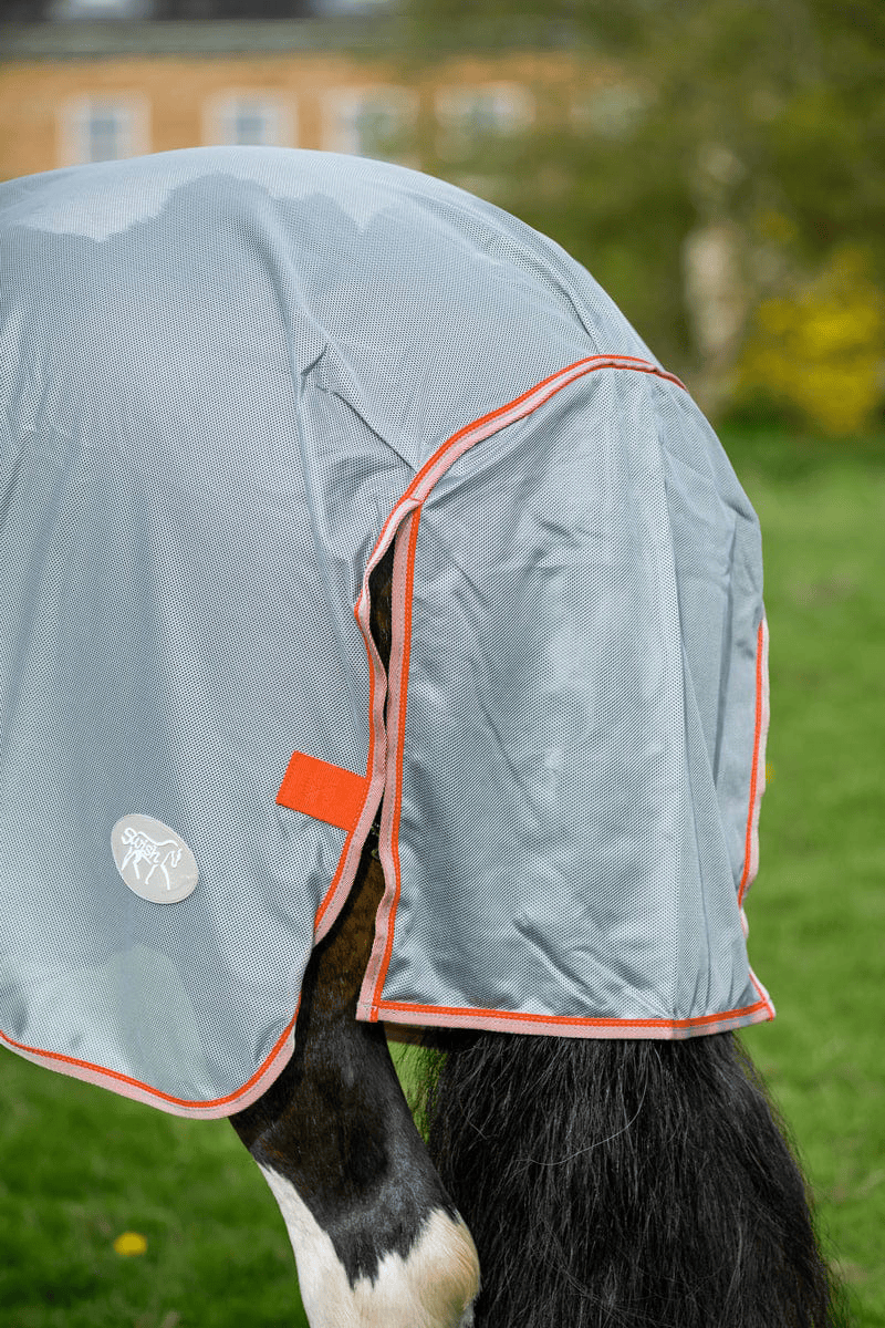 WIDE FIT Mesh Fly Rug | Swish Equestrian™
