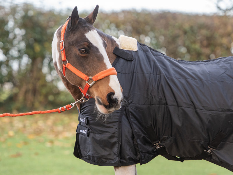 WIDE FIT 50g Horse Rug Liner